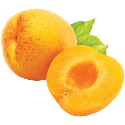 Apricot Png Images Transparent Background Png Play
