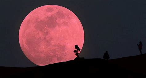 Superluna Rosa 2021 Qué Es Hora Fecha Cúando Y Cómo Ver Gratis La Luna Llena Desde Perú