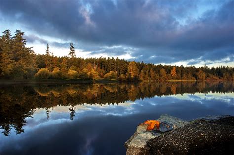 Wallpaper Sunlight Landscape Forest Lake Nature Reflection Sky