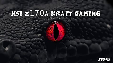 Msi Z170a Krait Gaming Motherboard Highlights Youtube