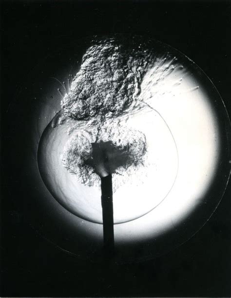 Dr Harold Edgerton 1903 1990 End View Of A Fire Cracker 1971