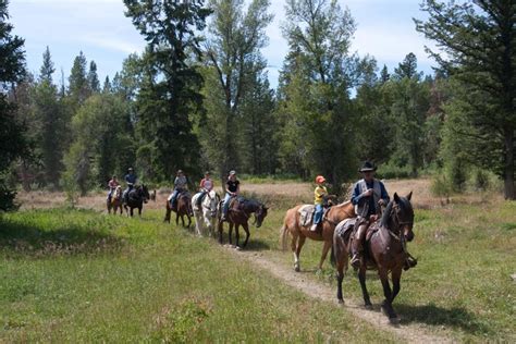 Yellowstone Horseback Riding Trail Rides Yellowstone Outfitters