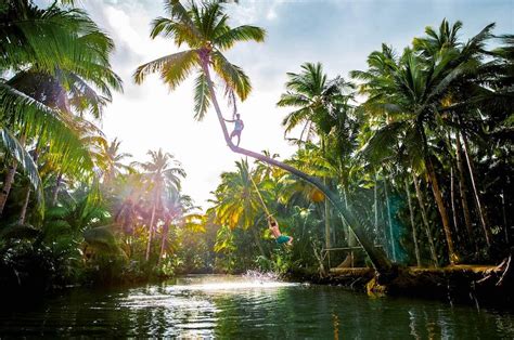 Siargao Bent Palm Tree Swing Everything You Need To Know Daily