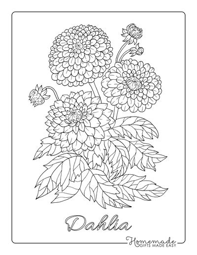 Free Flower Coloring Pages For Kids And Adults