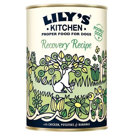 Lilys Kitchen Recovery Recipe Wet Dog Food 400g Feedem