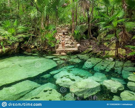 Sacred Cenote Azul In Tulum Yucatan Peninsula Mexico Stock Photo