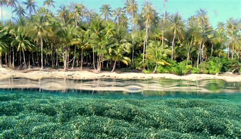 15 Tempat Wisata Di Papua Yang Terkenal