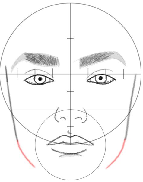 Face Proportions Drawing Human Face Drawing Facial Proportions