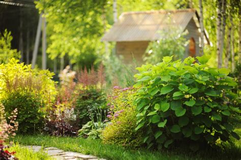 Savoring The Season Summer Gardening Tips Learningherbs