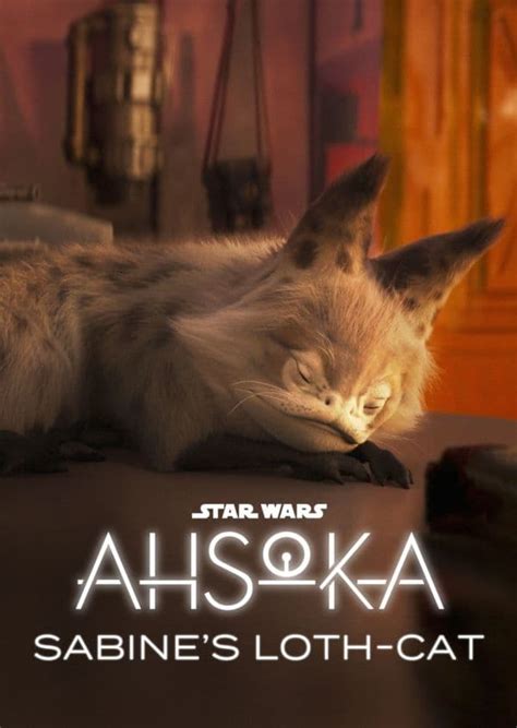 Star Wars Ahsoka Sabines Loth Cat 2023 The Poster Database Tpdb