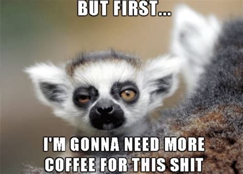 Tsimportantin life to be positive rightinowl m positive need. 30 I Need Coffee Memes for All Coffee Lovers - SheIdeas