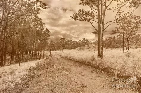 The Old Backroad Photograph By Jorgo Photography Fine Art America