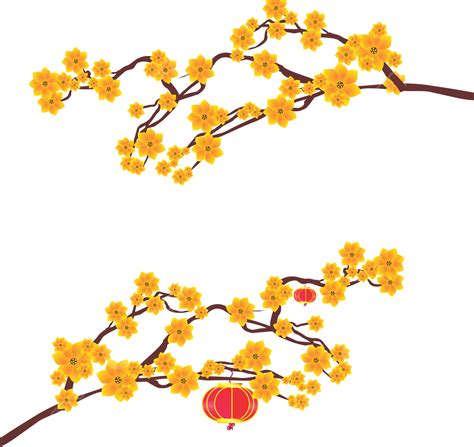 호아 마이 살구 꽃 노란색 꽃 노랑 살구 나무 Png 일러스트 및 이미지 에 대한 무료 다운로드 Pngtree