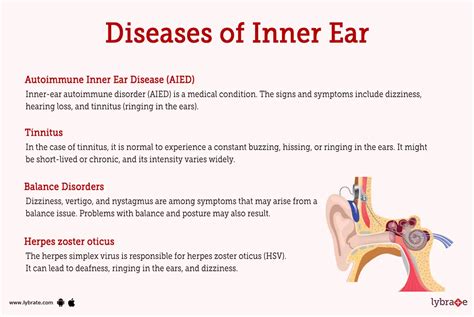 Inner Ear Human Anatomy Image Functions Diseases And Treatments