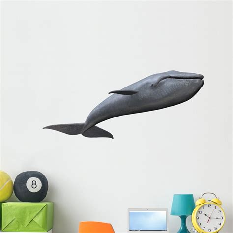 Whale Wall Decal Sticker By Wallmonkeys Vinyl Peel And Stick Graphic