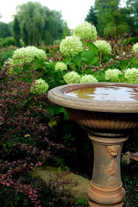 Bird Bath Design Ideas For Your Backyard Inspiration Napiernews