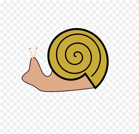 Slug Snail Clip Art Snail Clipart Flyclipart