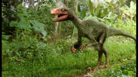 Deinonychus Dinosaur Alive Wiki Fandom