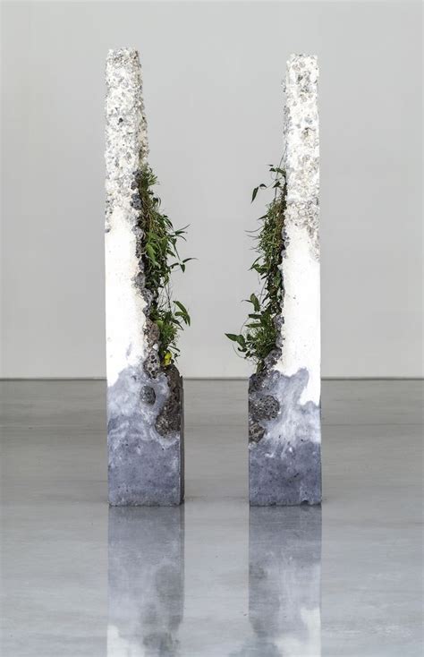 Jamie North Fills Concrete With Australian Plants Ignant Plant Art