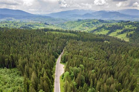 Top Down Aerial View Of Winding Forest Road In Green Mountain Spruce