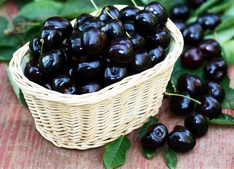 20 Science Proven Black Cherry Benefits For Skin Hair And Health