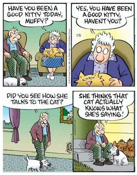 senior citizen stories senior jokes and cartoons funny comics senior jokes cartoon jokes