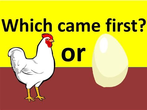 Chicken Came First Or Egg What You Think Nutshell School