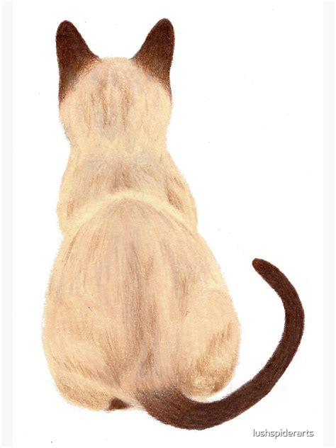 Siamese Cat Sitting Back View Poster By Lushspiderarts Redbubble