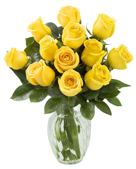 Kabloom Mothers Day Collection Bouquet Of 12 Fresh Yellow Roses Farm