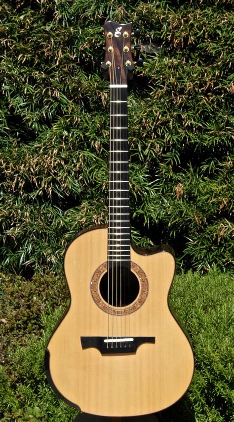 High End Used Acoustic Guitars Greenfield Guitars