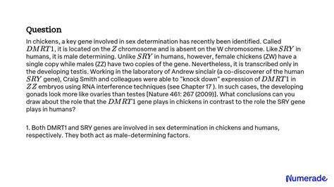 solved in chickens a key gene involved in sex determination has recently been identified