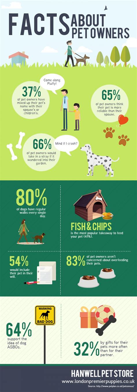 Facts About Pet Owners Visually