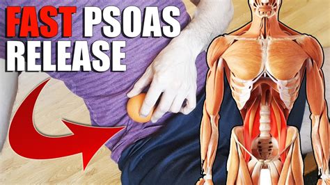 Psoas Muscle Release And Stretch For Tight Hip Flexors Try This Youtube