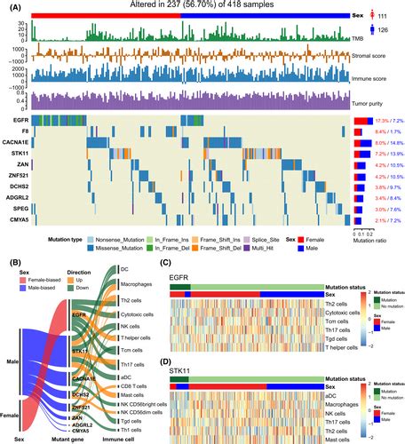 Pan‐cancer Analysis Reveals Sex‐specific Signatures In The Tumor Microenvironment Han 2022