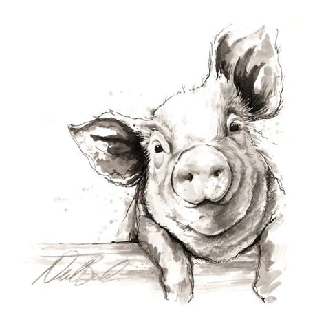 25 Unika Pig Art Idéer På Pinterest Grisar Minigris Och Minigris
