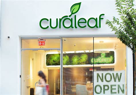 Curaleaf enters Colorado with acquisition of edibles ...