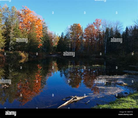 Pond In Maine Usa Showing Fall Foliage Stock Photo Alamy