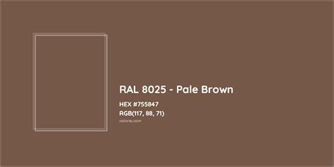 About Ral Pale Brown Color Color Codes Similar Colors And