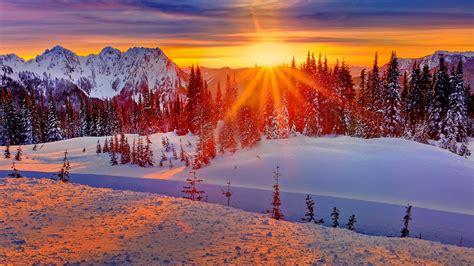 Winter Sunset Wallpaper Hd 2069189 Hd Wallpaper And Backgrounds Download