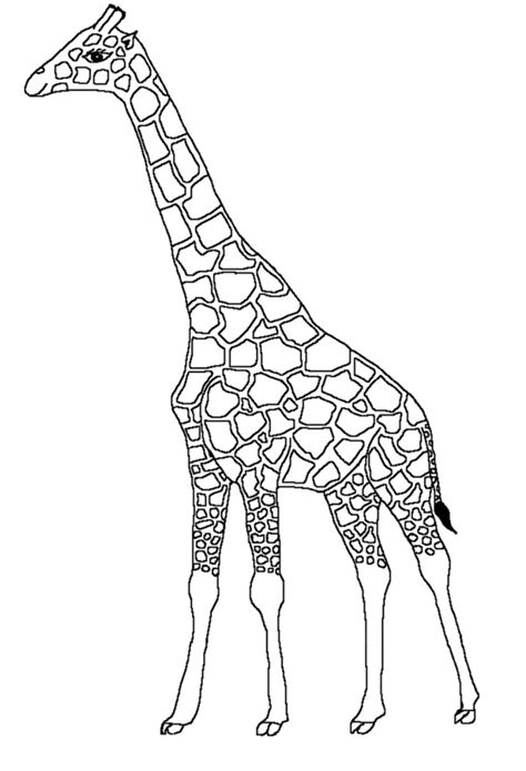 Coloriage Girafe Noir Et Blanc Dessin Gratuit à Imprimer