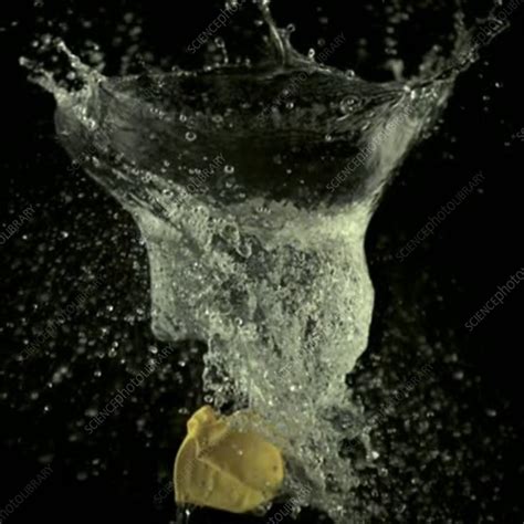 Yellow Balloon Bursting Water Filled Stock Video Clip K0011051