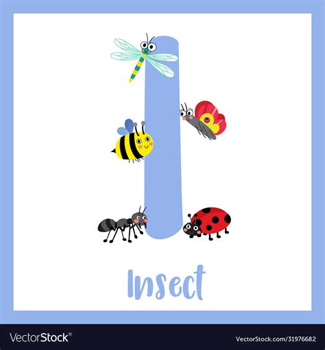 Letter I Vocabulary Insects Royalty Free Vector Image