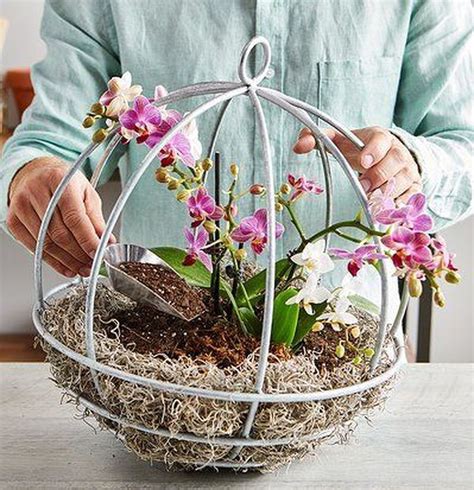 33 Beautiful Hanging Orchids Design Ideas Many Of Us Want To Be