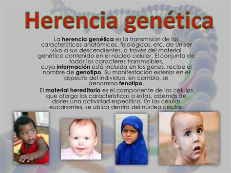 Herencia Genética