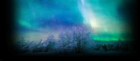 Northern Lights Holidays See The Northern Lights Arctic Holidays