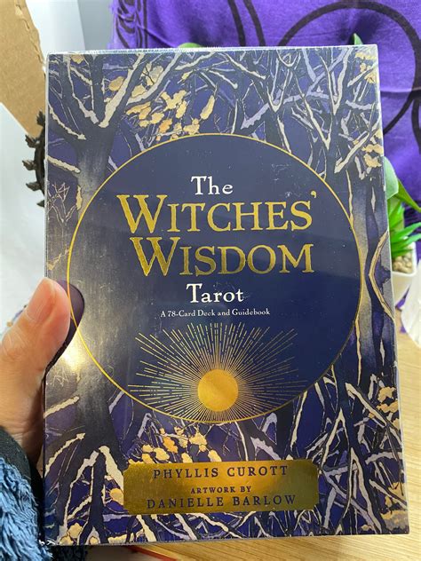 The Witches Wisdom Tarot A 78 Card Deck And Guidebook Etsy