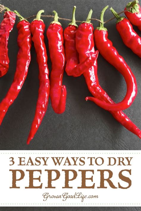 3 Ways To Dry Peppers For Food Storage Recipe Dried Peppers