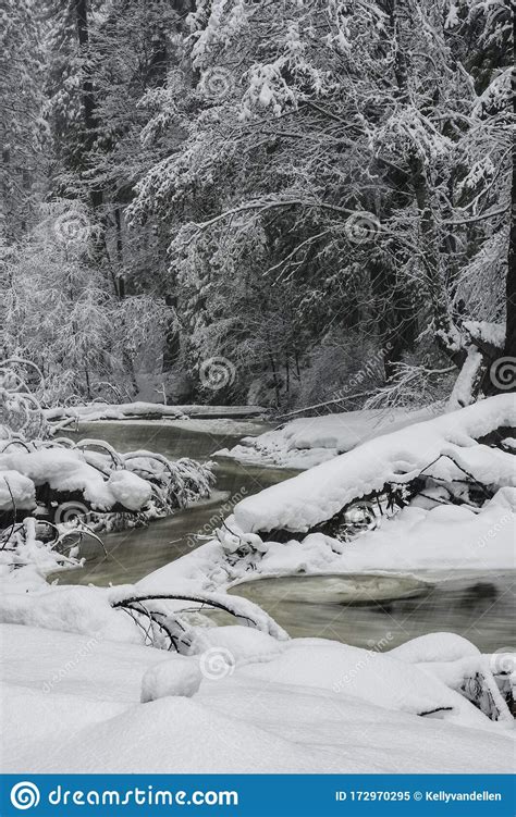 Snow Covered Trees And Rocks In Yosemite Stock Image Image Of Falls
