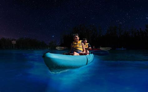 You Can Paddle Through Florida S Bioluminescent Waters In A Clear Kayak Kayaking Florida
