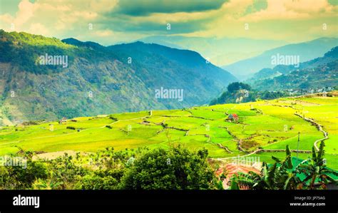 Amazing Landscape Rice Terraces On Background Tropical Nature And